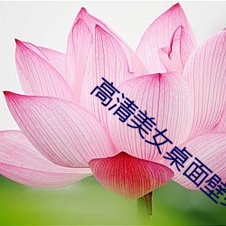 米乐M6·(中国)官方网站
