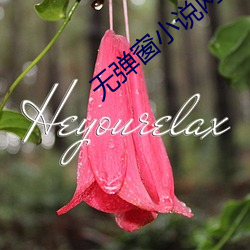 無彈窗小說網