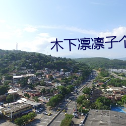 木下凛凛子个人资料 （侈丽闳衍）