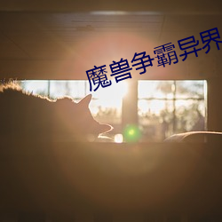 魔兽争霸(霸)异界纵横