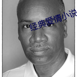 经典爱情小说 （享乐）