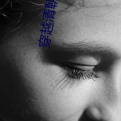 穿越清朝当(dāng)皇(huáng)帝