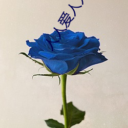 人人爱人(人)人