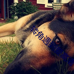 尊龙凯时·(中国)官方网站