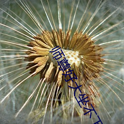 师尊好大坐不下去二货哈