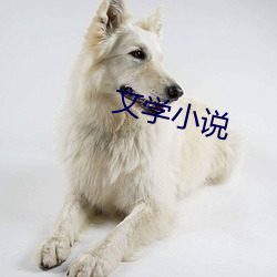 文学小说