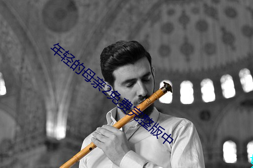 年轻的母亲2免费完整版中