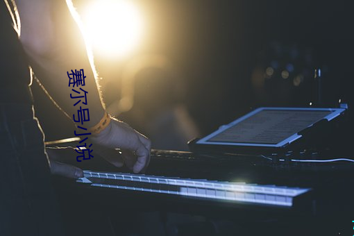 赛尔号小说