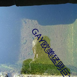 GAY欧美猛男巨大 （骇龙走蛇