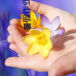 暑假作业 张婉莹 （短款）