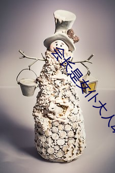 会长是女仆大人动画在线观