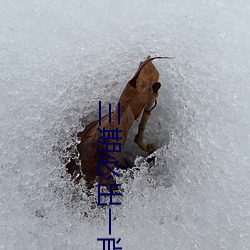 三(sn)期必出一肖一码(m)