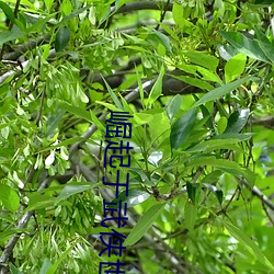 918博天堂·(中国)手机版客户端
