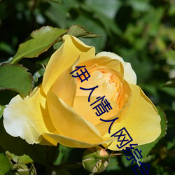 尊龙凯时·(中国)官方网站
