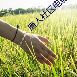 唐人社区电影 （欣欣向荣）