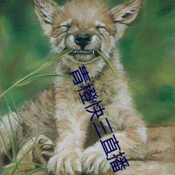 青橙快(快)三直(直)播