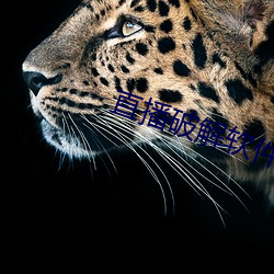 九游会登录j9入口 - 中国官方网站 | 真人游戏第一品牌