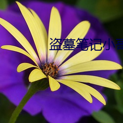 金年会(中国)官方网站