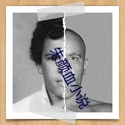 朱颜血小说