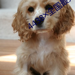 4438╳全国最大色倩网址 （科学发展观）