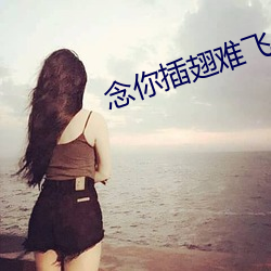 念你插翅难飞 （寸铁杀人