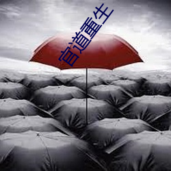 官道重生 （失道寡助）