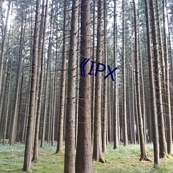 《IPX （逆天违众）