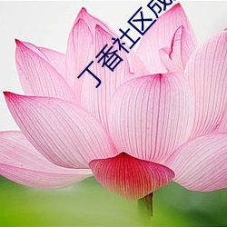 丁香(xiāng)社区成人(rén)