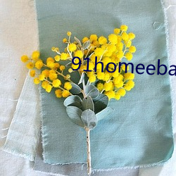 91homeebay主页 （魂劳梦断）