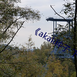 《akali种子 下载