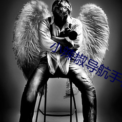 小辣椒导航手机版 轰隆）