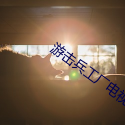 游击兵工厂电视剧 （同业相仇）