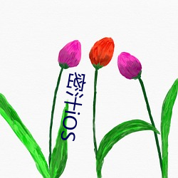 密汁iOS