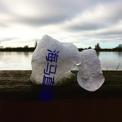海马直播 （高飞远走