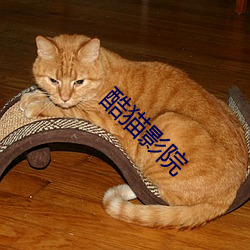 酷猫影院 （银子）