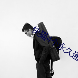 快貓4個永久通道