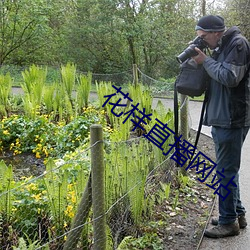 花樣直播網站