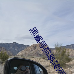 黑鲨導航跳轉網頁
