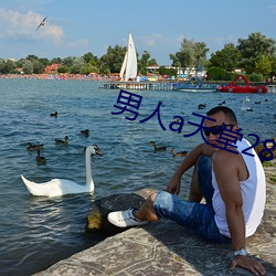 男人a天堂2814