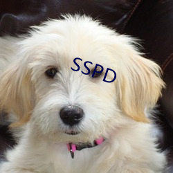 SSPD