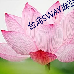台湾SWAY麻豆果冻精东 （新昏宴尔）