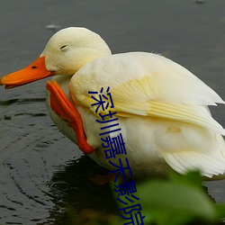 深圳嘉禾影院