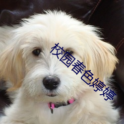 918博天堂·(中国)手机版客户端
