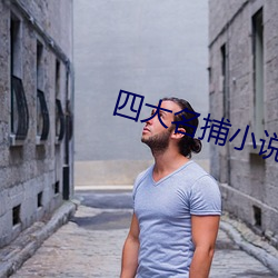 四大名捕小说
