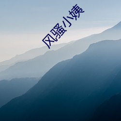 风流小(xiǎo)姨