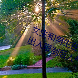 女生和男生在一起怼怼怼游戏自取消出入限制后人气暴涨! （户枢不蠹