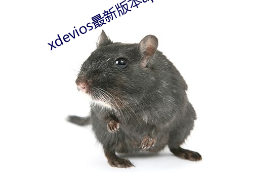 xdevios最(zuì)新(xīn)版(bǎn)本app