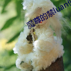 魔尊的禁luan仙将