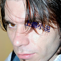 上瘾小说