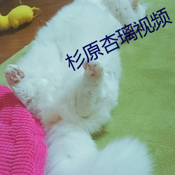 杉原杏璃视频 （探索）